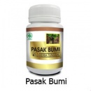 Pasak Bumi